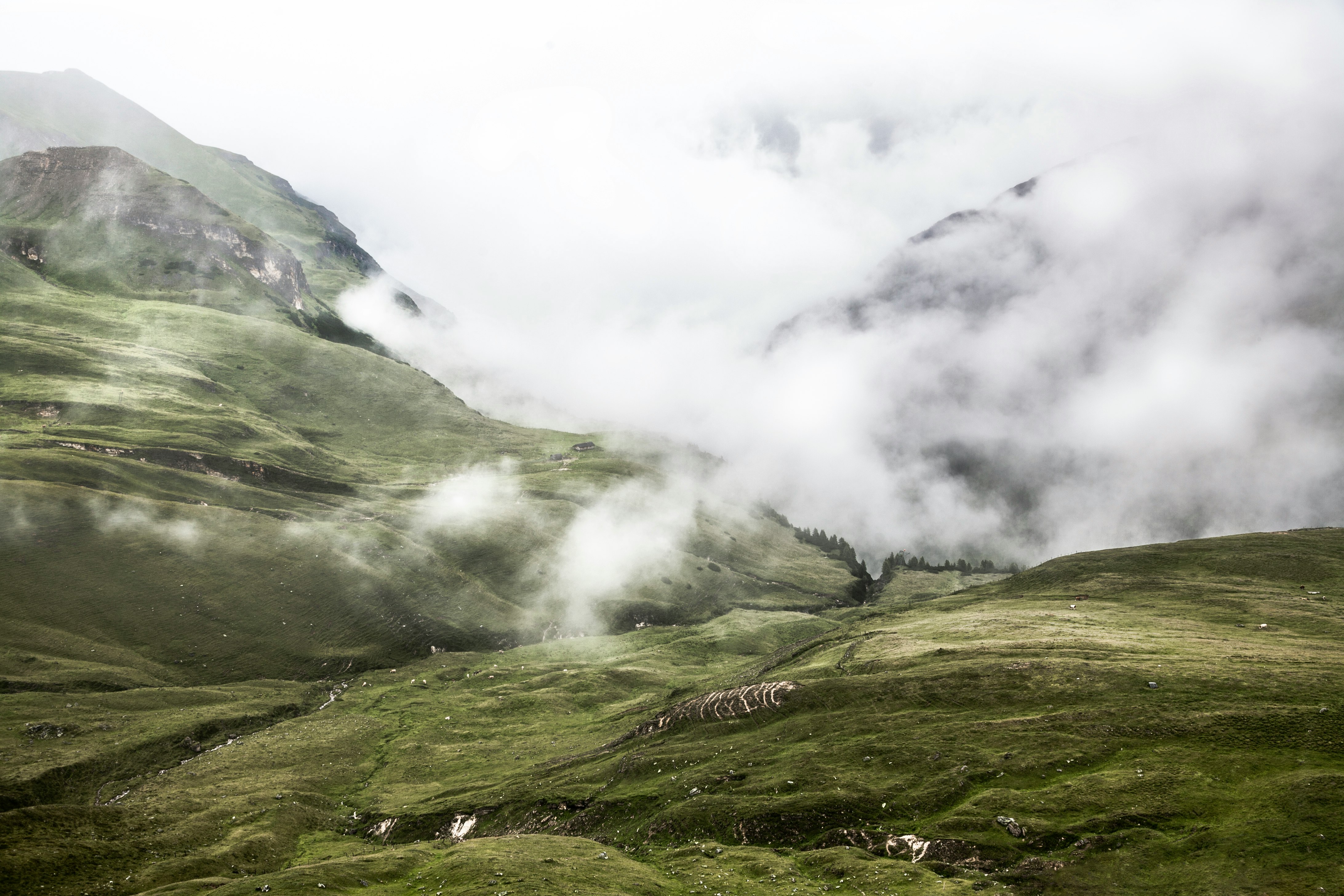 green mountain and fog